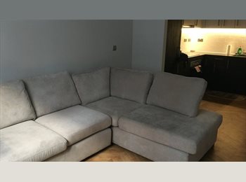 Roomgo UK - Top quality apartment in perfect location, Jewellery Quarter - £990 pcm