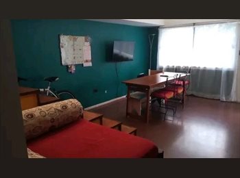 Roomgo AR - Una habitación individual disponible!!!, La Plata - AR$ 300.000 pm