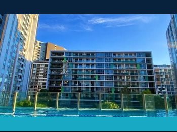 Roomgo AU - Shared Room for 2 People in Wolli Creek ($280pw each) | 1 min to Station, Canterbury - $280 pw