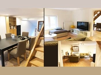 Appartager BE - ROOM IN CHARMING CO-HOUSING., Ixelles-Elsene - 850 € pm