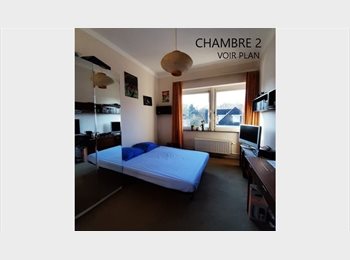 Appartager BE - 2 Chambres à Louer 525/575 € Charges 75 €ur, Uccle-Ukkel - 525 € pm