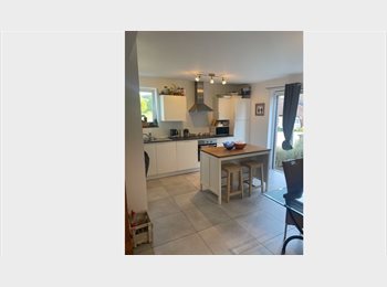 Appartager BE - Cherche colocataire pour pouvoir n’a pas déménagé suite au départ de ma mère, Jemeppe-Sur-Sambre - 350 € pm
