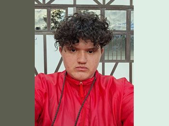 Roomgo BR - Lucas  - 20 - Curitiba