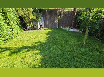 Roomgo ES - Habitación en piso compartido (Ambiente Naturista) – Solo chicas, Dénia - 500 € por mes