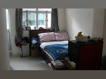 Roomgo HK - Newly Renovated Rooms next to Times Square Causeway Bay , Wan Chai - HKD7,500 pcm