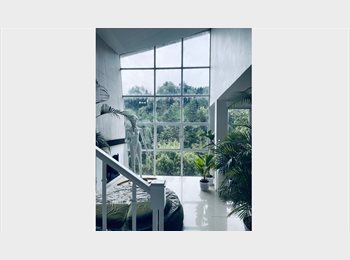 Roomgo MX - ¿Te quiere sentir que estás en el campo a 2km del periférico?, Miguel Hidalgo - MX$15,000 por mes