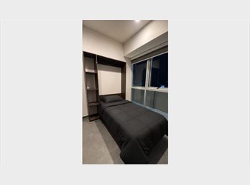 Roomgo MX - Rento habitación individual, Alvaro Obregón - MX$11,000 por mes