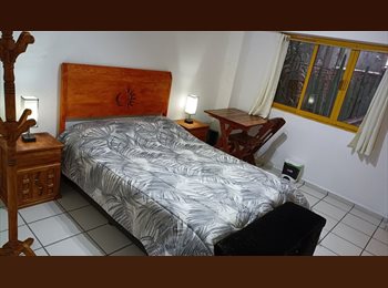 Roomgo MX - Vive en la Condesa en una Casa Familiar, Cuauhtémoc - MX$17,600 por mes