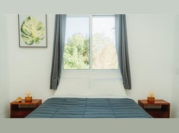 Roomgo MX - Estudio en Renta - Frente a Che Holbox Hostel, México - MX$12,000 por mes
