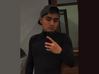 Roomgo MX - Ulises Zaragoza - 22 - Querétaro