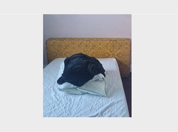 Roomgo NZ - Room for rent, Auckland - $270 pw