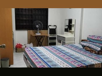 Roomgo SG - Spacious Common Room for Rent @ Blk 62 Toa Payoh (S310062), Toa Payoh - $1,000 pm