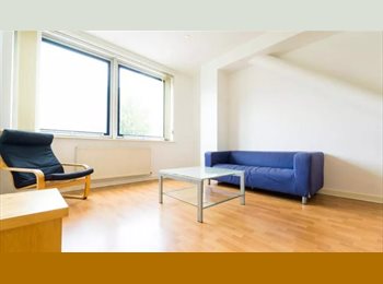 Roomgo UK - One Bedroom Flat in City Centre, Ardwick Green - £850 pcm