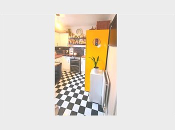 Roomgo UK - COSY ROOM IN A NICE FLAT, Clapham - £1,100 pcm