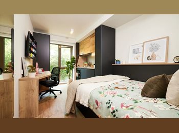 Roomgo UK - Vita Cannon Park studio for rent, Canley - £363 pcm