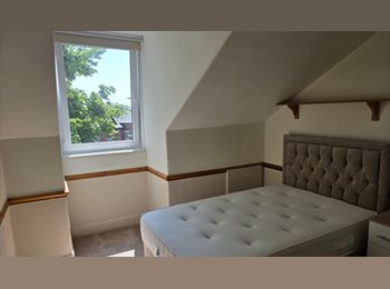 Roomgo UK - Last room left, great house!, Carlisle - £500 pcm