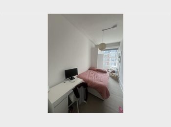 Roomgo UK - Room to Let - College Crescent, Belsize Park - £910 pcm