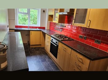Roomgo UK - Large room in Flat available, Westbourne - £700 pcm