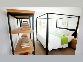 Roomgo US - BEAUTIFUL ROOM FOR RENT, Hollywood Heights - $1,055 pm
