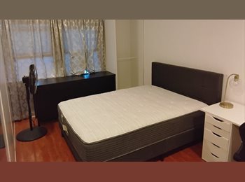 Roomgo US - Room for rent, El Camino Village - $1,200 pm