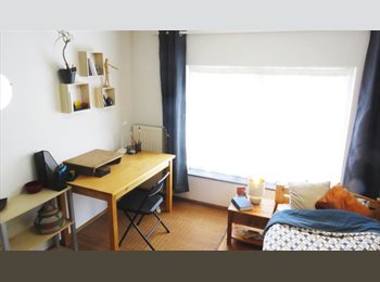 Appartager BE - Kot chez l'habitant, Namur - 375 € pm
