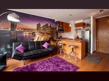 CompartoDepto CL - Perfecta Locación Santa Lucia / Barrio Lastarria, Santiago Centro - CH$400.000 por mes