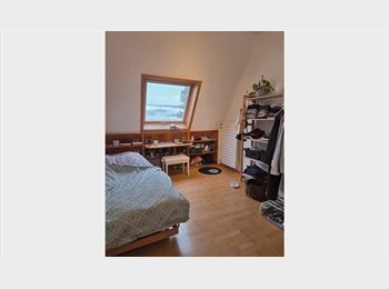 Appartager LU - chambre à louer dans maison familiale - disponible 19 octobre Rue Marcel Noppeney, Kirchberg, Luxembourg - 850 € / Mois