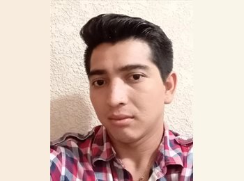 Roomgo MX - Erik Enrique Mendez Mendez  - 33 - Mérida