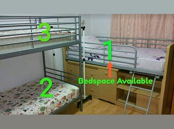 Roomgo SG - ■‼️Buona Vista MRT Bedspaces for Ladies from *$530.00‼️■, Commonwealth - $530 pm