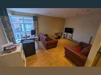 Roomgo UK -  ROOM AVAILABLE – Near LisburnRoad, BELFAST, Belfast - £350 pcm