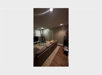 Roomgo US - $1,700 / 2br - 2 Bedroom – 1 Room available | Beacon St, Brookline, M (Brookline), Commonwealth - $1,700 pm