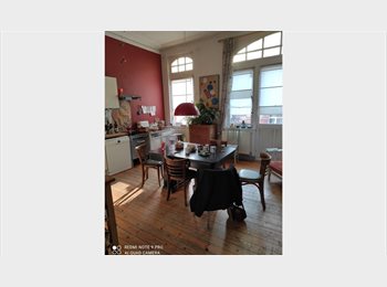 Appartager BE - Grande chambre à louer dans chouette petite coloc, Schaerbeek Schaarbeek - 575 € pm