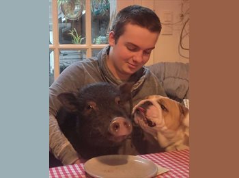 Appartager BE - Collin - 21 - Saint Gilles Sint Gillis