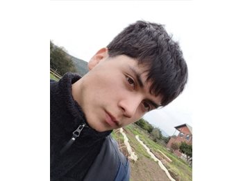 CompartoDepto CL - Jeremy - 21 - Viña del Mar