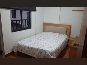 CompartoApto CO - No familiar, Envigado - COP$ 850.000 por mes