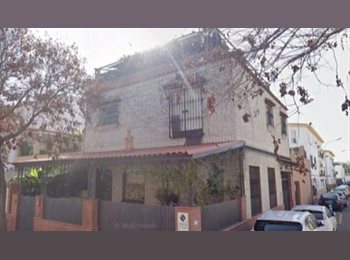 Roomgo ES - Centrico paz y orden, Sevilla - 300 € por mes