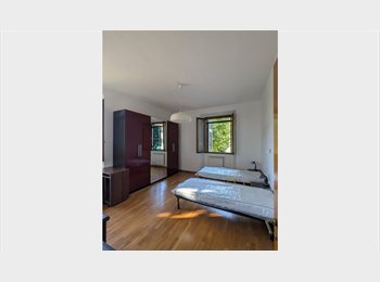 Roomgo IT - Posto letto in ampia camera  doppia, Firenze - 375 € al mese