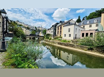 Appartager LU - HISTORIC 300 m² HOUSE IN LUXEMBOURG CITY CENTRE  €999/MONTH, Luxembourg - 799 € / Mois