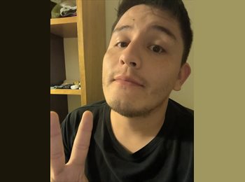 Roomgo MX - Daniel - 32 - México - D.F.
