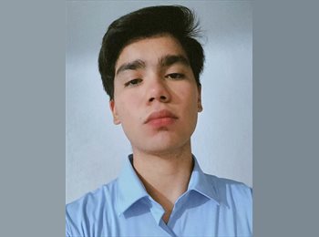 Roomgo MX - Armando - 21 - Querétaro
