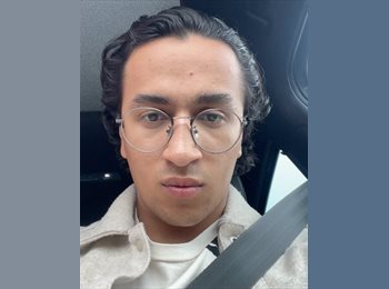 Roomgo MX - Daniel - 23 - Querétaro