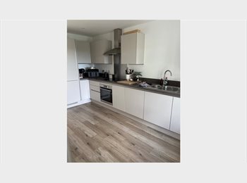 Roomgo UK - DOUBLE ROOM TO RENT WITH PRIVATE BATHROOM (AND FLOOR!), Belgrave - £700 pcm