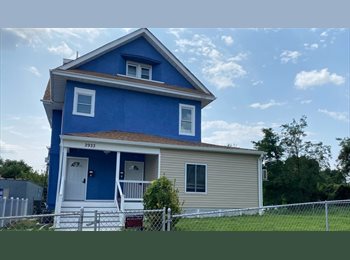 Roomgo US - Room For Rent - $550 (Shared Bath), Rosemont - $550 pm