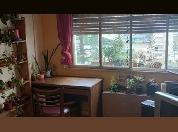 Roomgo AR - Habitación individual en departamento compartido en Caballito, Capital Federal - AR$ 450.000 pm