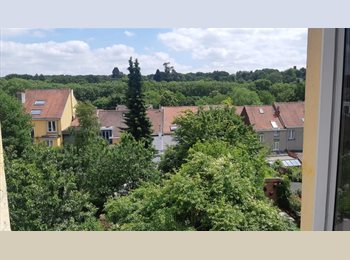 Appartager BE - Dans colocation étudiante 3 chambres à 550 € tout compris, Watermael Boitsfort - Watermaal Bosvoorde - 550 € pm
