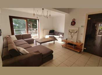 Appartager BE - Chambre en colocation à Waterloo, Waterloo - 550 € pm