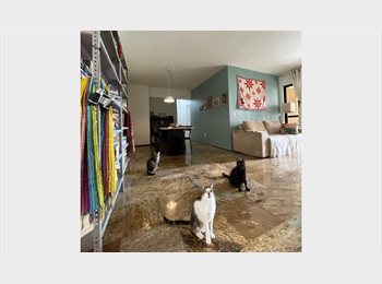 Roomgo BR - Private Room in Shared Home in Meireles, Fortaleza, Fortaleza - R$ 1.700 Por mês