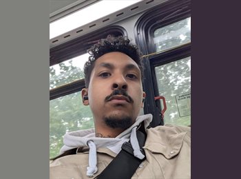 Roomgo CA - Shondel - 31 - Calgary