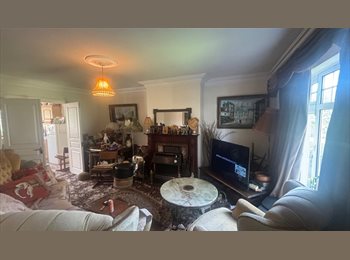Roomgo IE - double room available, Limmerick - €500 pcm