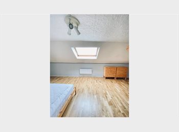 Appartager LU - House share 20 min from Luxembourg City, Esch-sur-Alzette - 595 € / Mois
